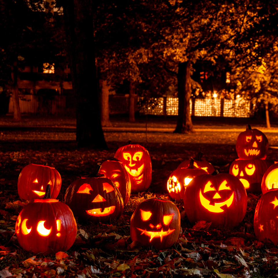 CHAMPS DE CITROUILLE D'HALLOWEEN